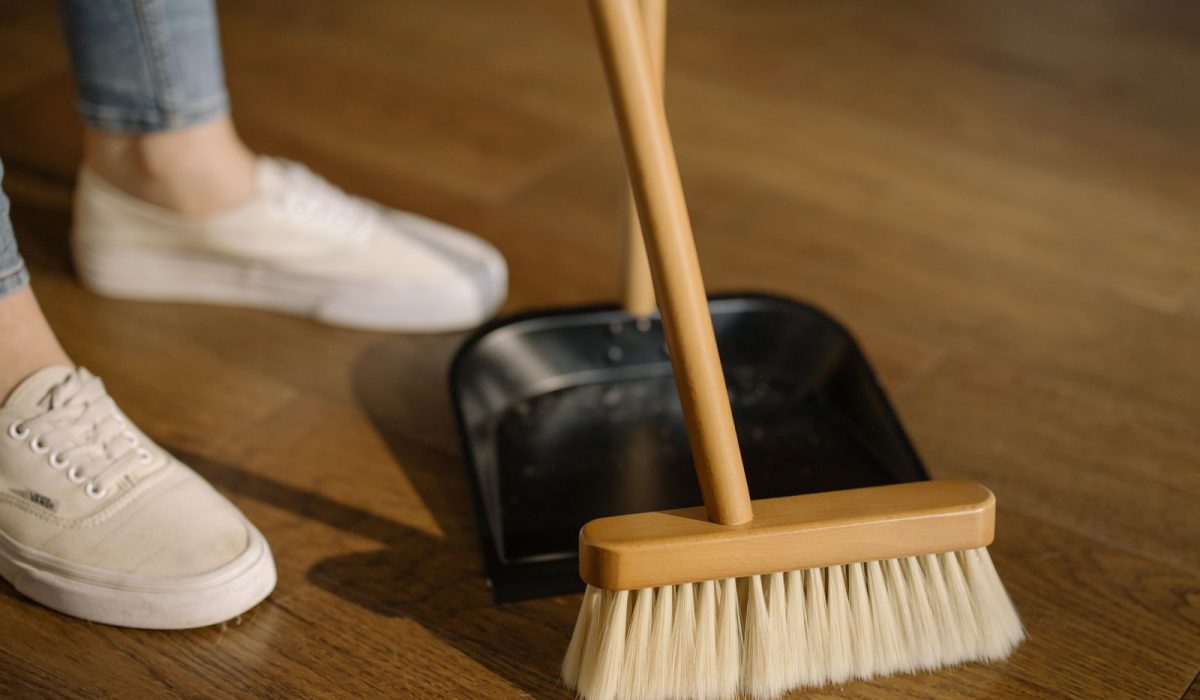 Pest Prevention That Doesn’t Rely on Sprays