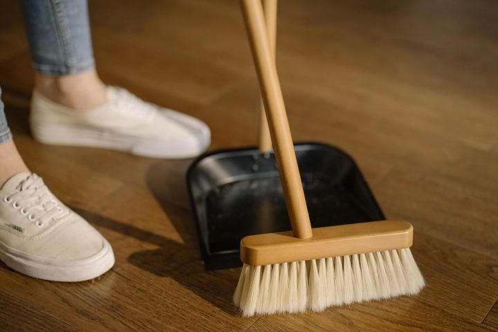 Pest Prevention That Doesn’t Rely on Sprays