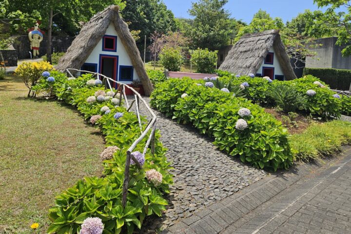 Tiny-Home Insurance: What Actually Covers a House on Wheels
