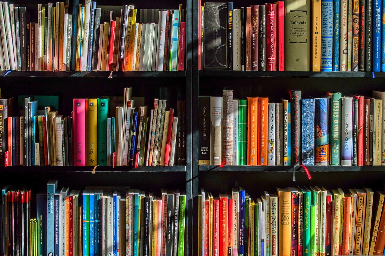 A tall bookshelf packed with organized books